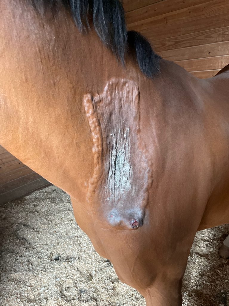 23 Hours After the First Session